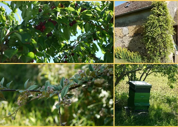 Maison Proche Circuit 24h Du Mans